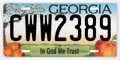 GA license plate CWW2389