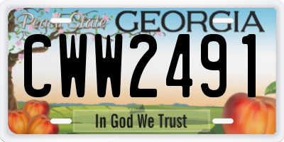 GA license plate CWW2491
