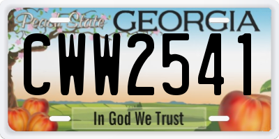 GA license plate CWW2541