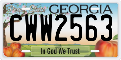 GA license plate CWW2563