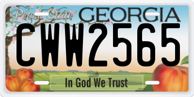 GA license plate CWW2565