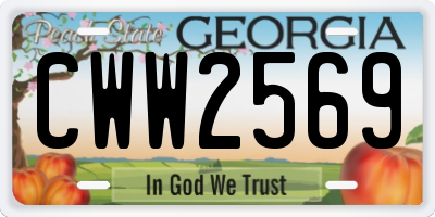 GA license plate CWW2569