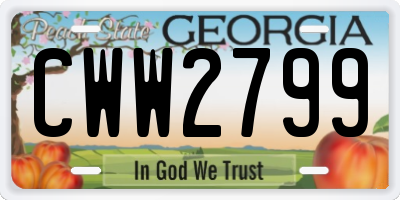 GA license plate CWW2799