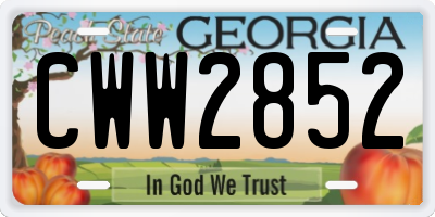 GA license plate CWW2852