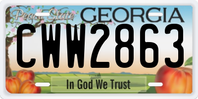 GA license plate CWW2863