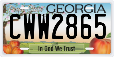 GA license plate CWW2865