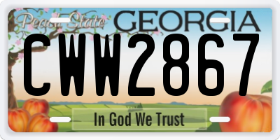 GA license plate CWW2867