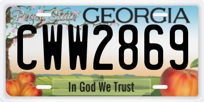GA license plate CWW2869