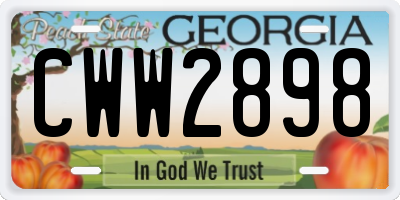 GA license plate CWW2898
