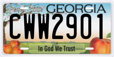 GA license plate CWW2901