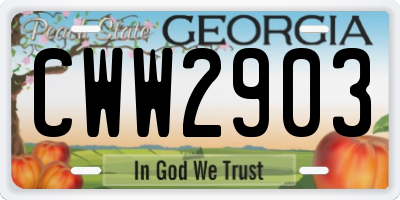 GA license plate CWW2903
