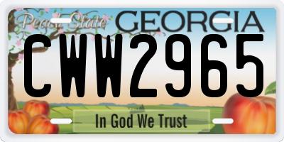 GA license plate CWW2965