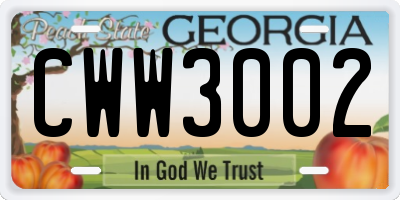 GA license plate CWW3002