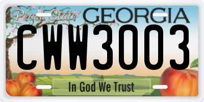 GA license plate CWW3003