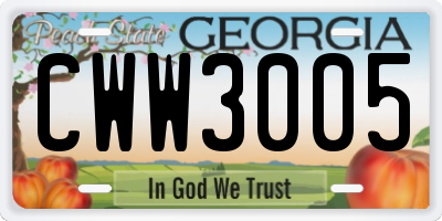 GA license plate CWW3005