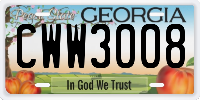 GA license plate CWW3008