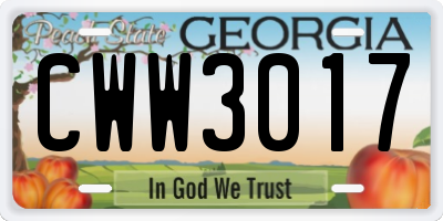 GA license plate CWW3017