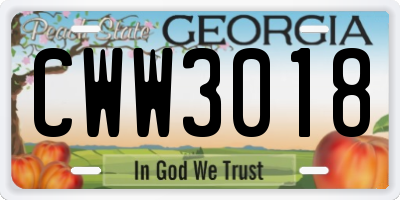 GA license plate CWW3018