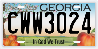 GA license plate CWW3024