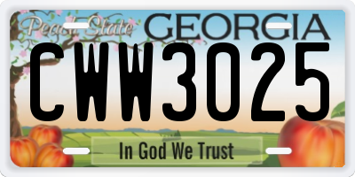 GA license plate CWW3025