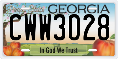GA license plate CWW3028
