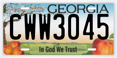 GA license plate CWW3045