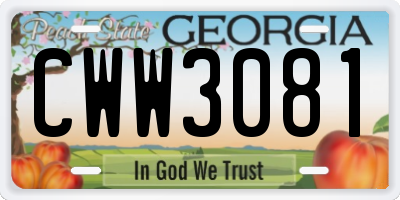 GA license plate CWW3081