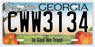 GA license plate CWW3134