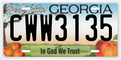 GA license plate CWW3135