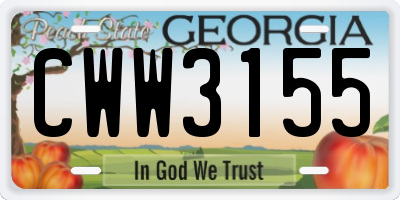 GA license plate CWW3155