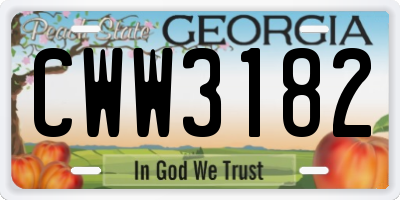 GA license plate CWW3182