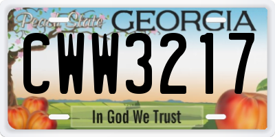 GA license plate CWW3217