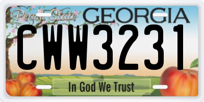 GA license plate CWW3231