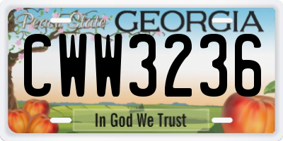 GA license plate CWW3236