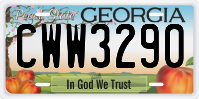 GA license plate CWW3290