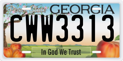 GA license plate CWW3313