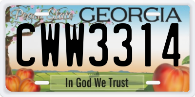 GA license plate CWW3314
