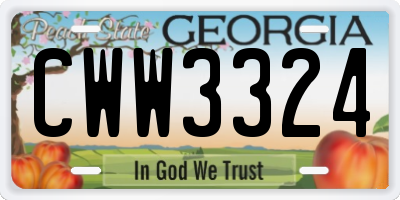 GA license plate CWW3324
