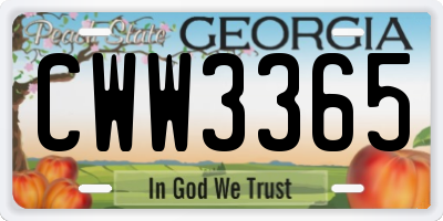 GA license plate CWW3365