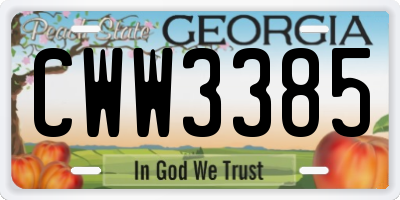 GA license plate CWW3385