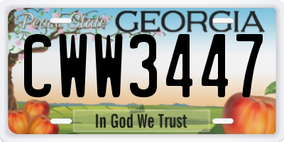 GA license plate CWW3447