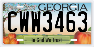 GA license plate CWW3463