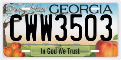 GA license plate CWW3503