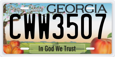 GA license plate CWW3507