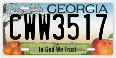 GA license plate CWW3517
