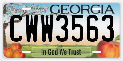 GA license plate CWW3563