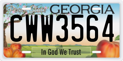 GA license plate CWW3564