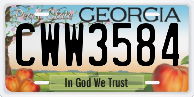 GA license plate CWW3584