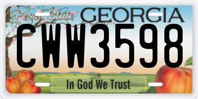 GA license plate CWW3598