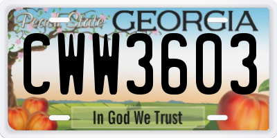 GA license plate CWW3603